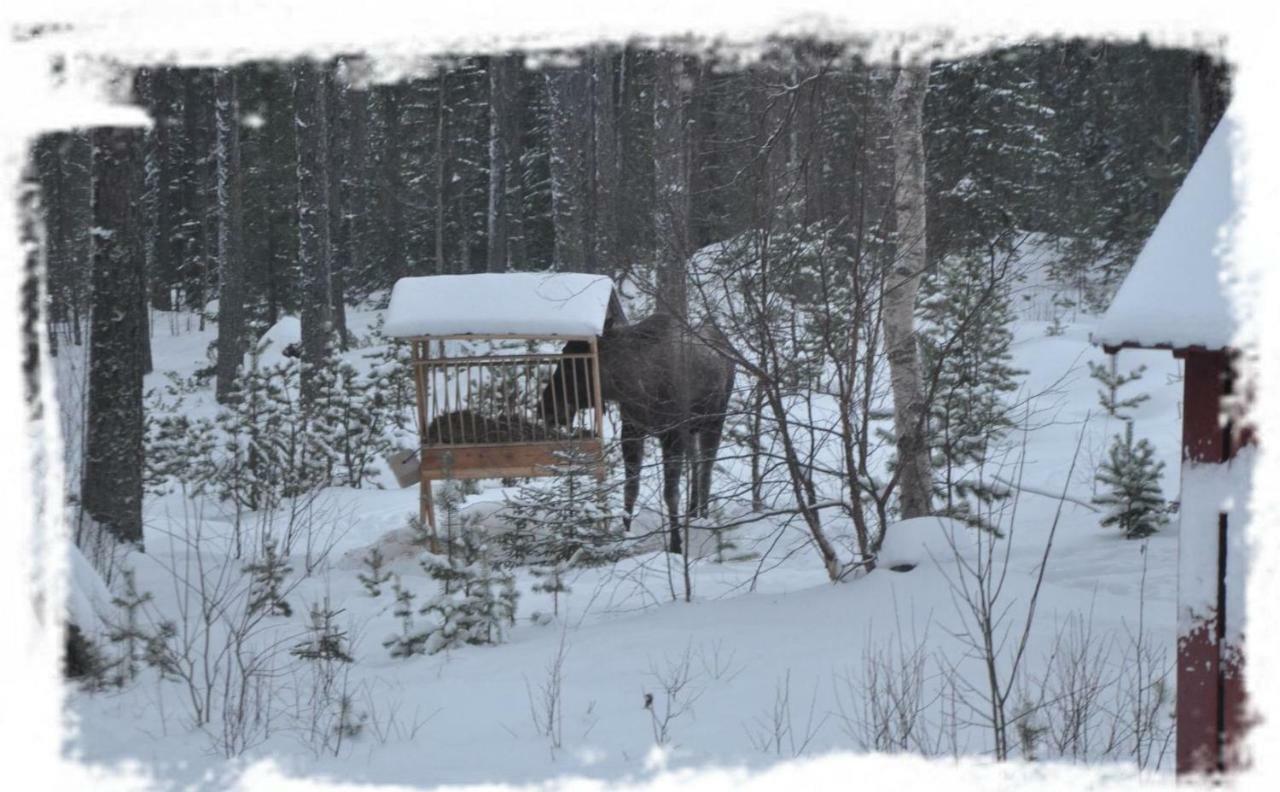 Haus Am Lachsfluss Villa Nedre Norra Ornas Buitenkant foto